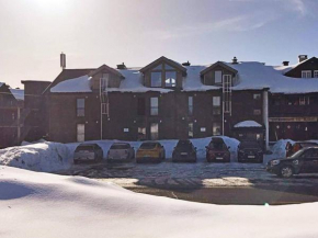 Apartment GEILO